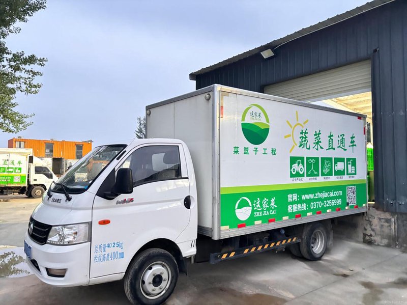 有机蔬菜种植：为何选择它？如何开始？